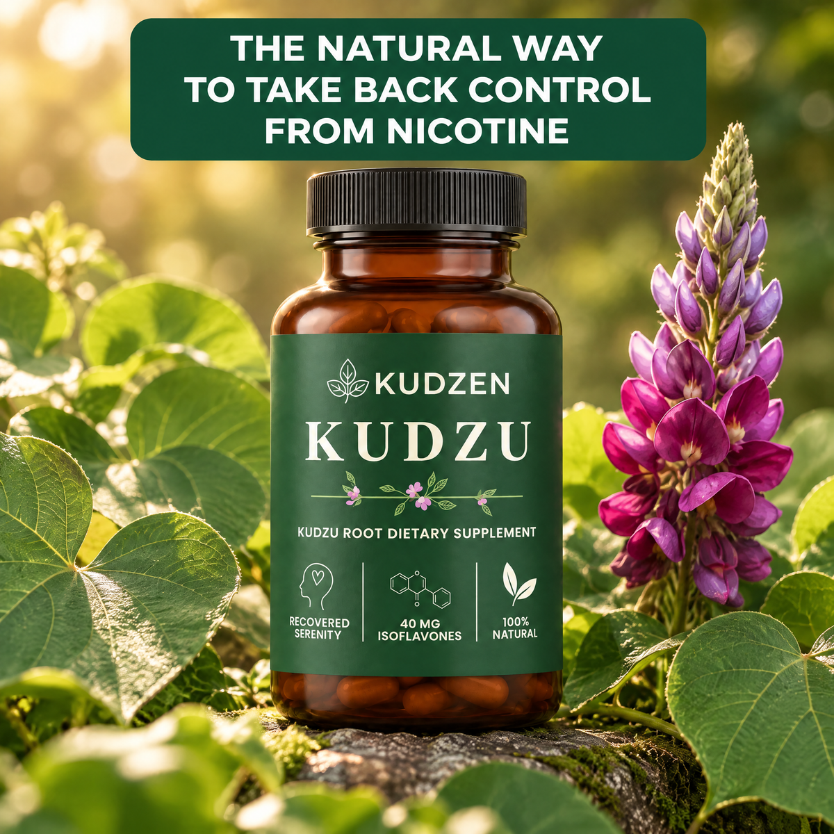 Nicotine Craving Relief Capsules
