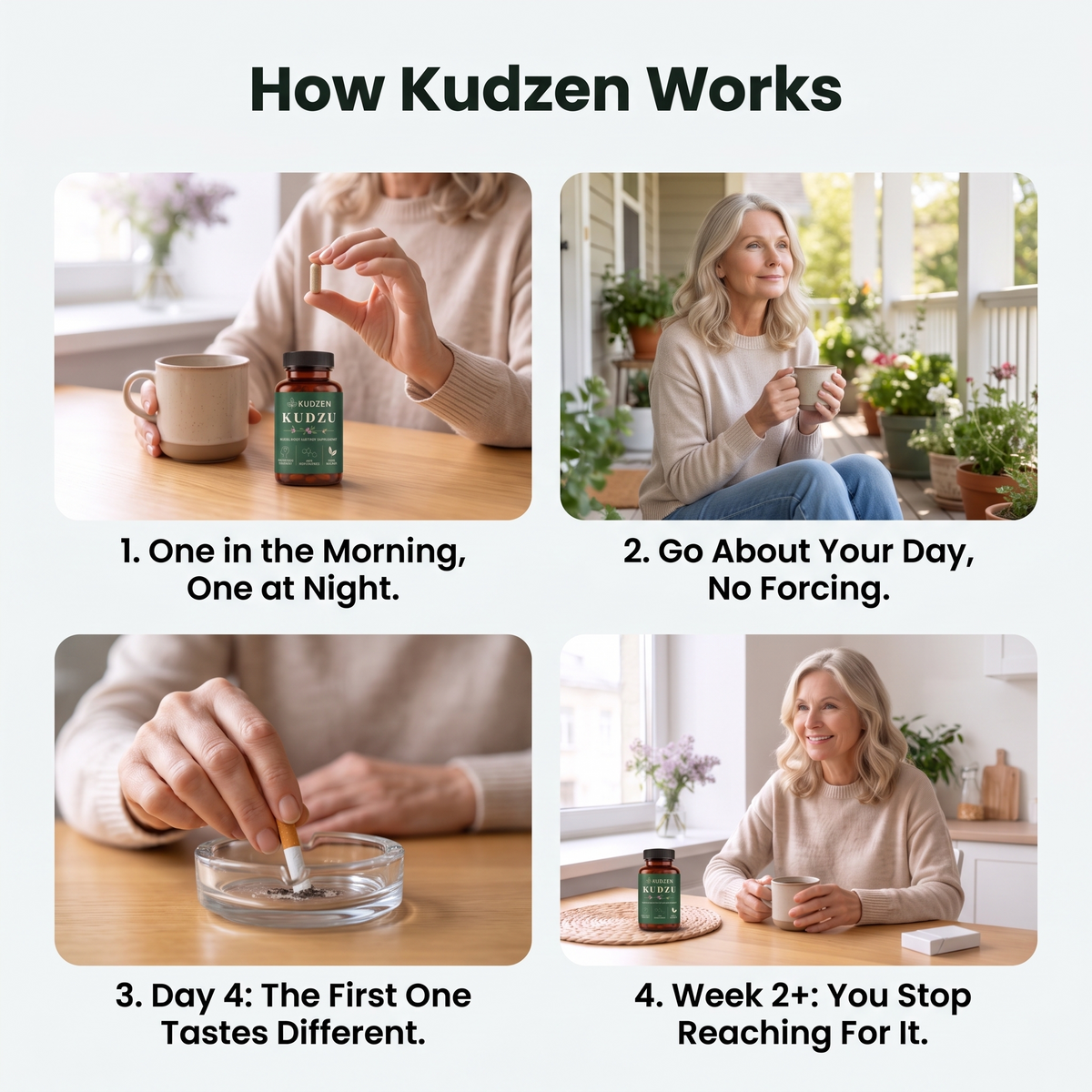 How Kudzen works, step by step