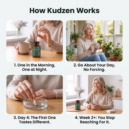 How Kudzen works, step by step