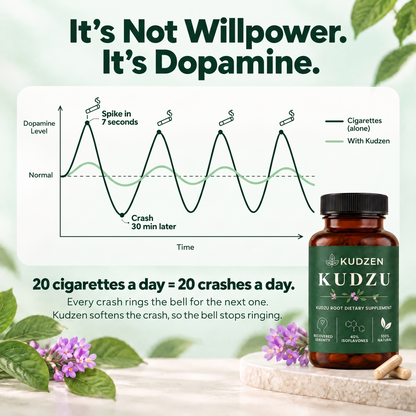 It's not willpower, it's dopamine