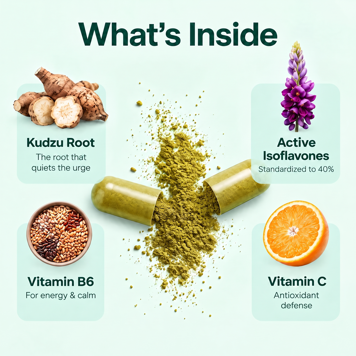 What's inside Kudzen