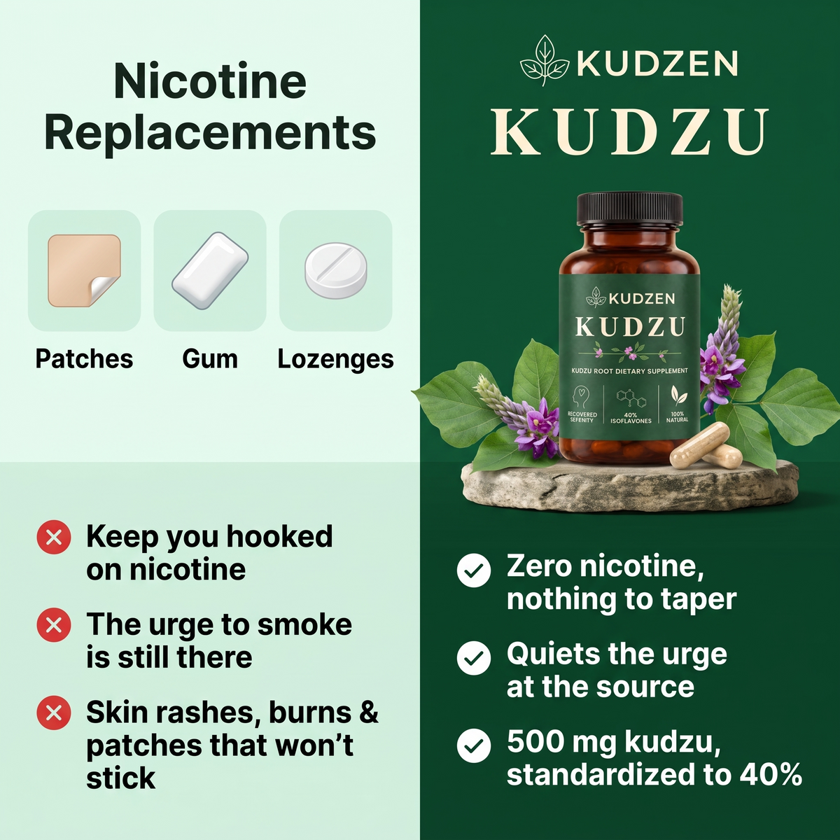 Kudzen vs nicotine replacements