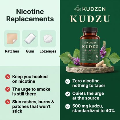 Kudzen vs nicotine replacements